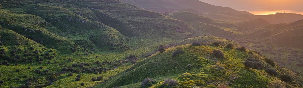 Туры в Израиль