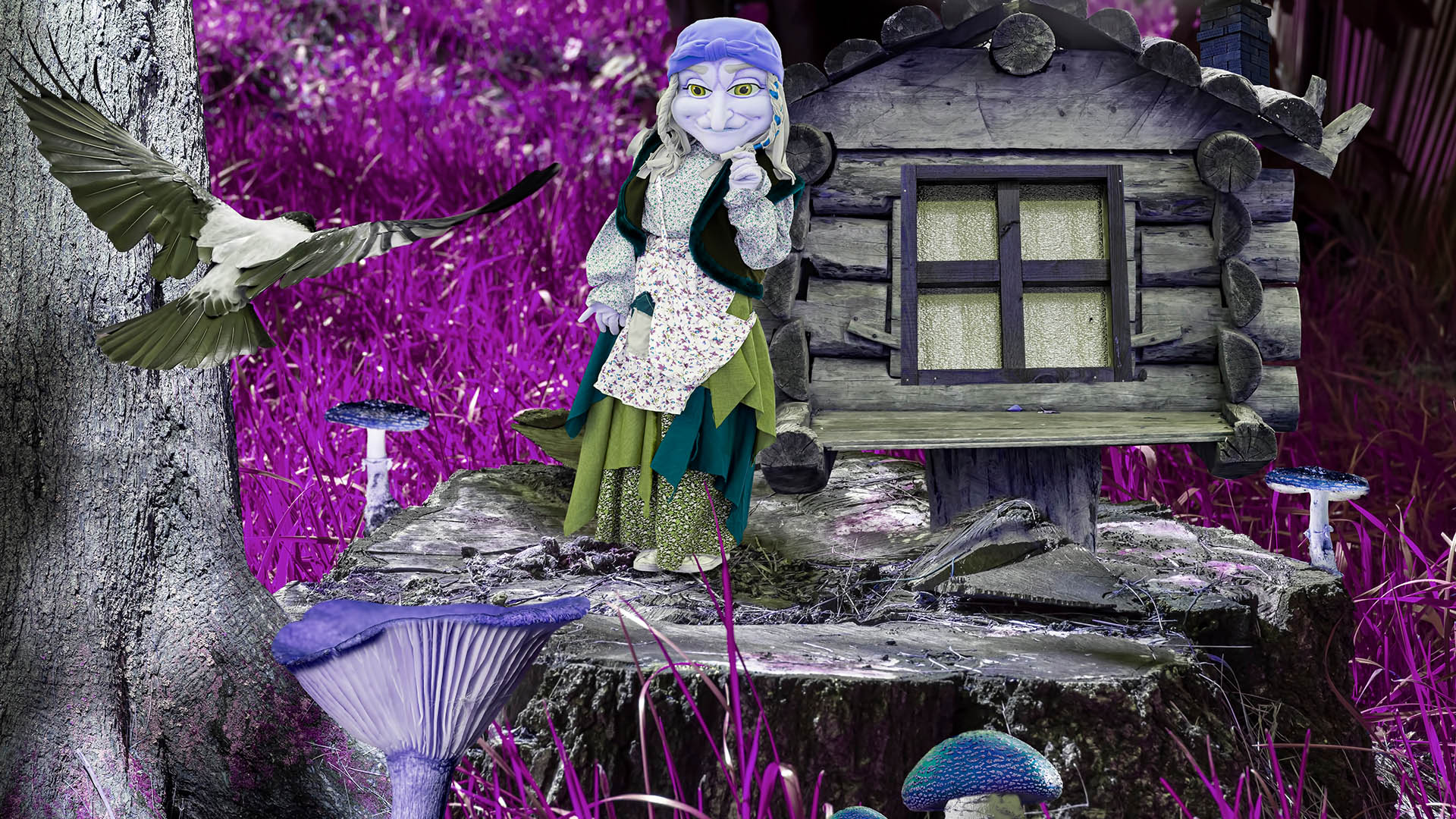 slide image