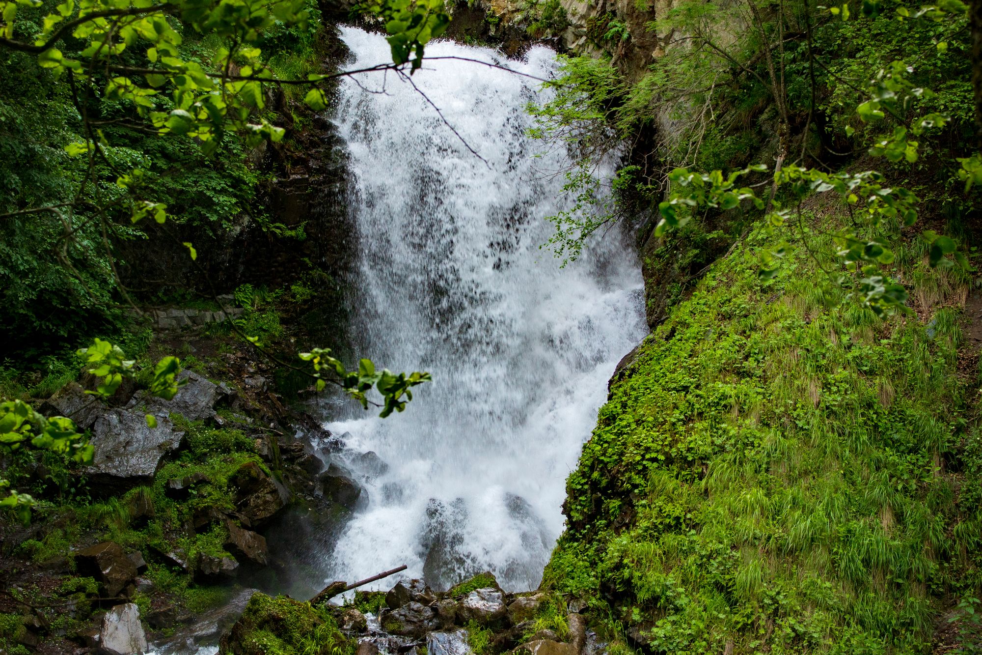 slide image