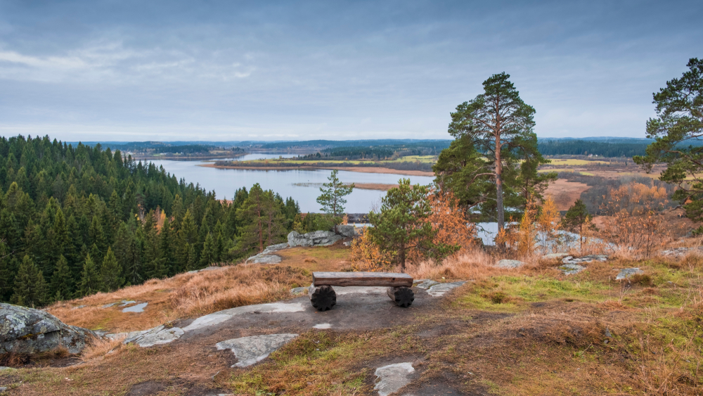 Классический Петербург + Карельская кругосветка: Водопады