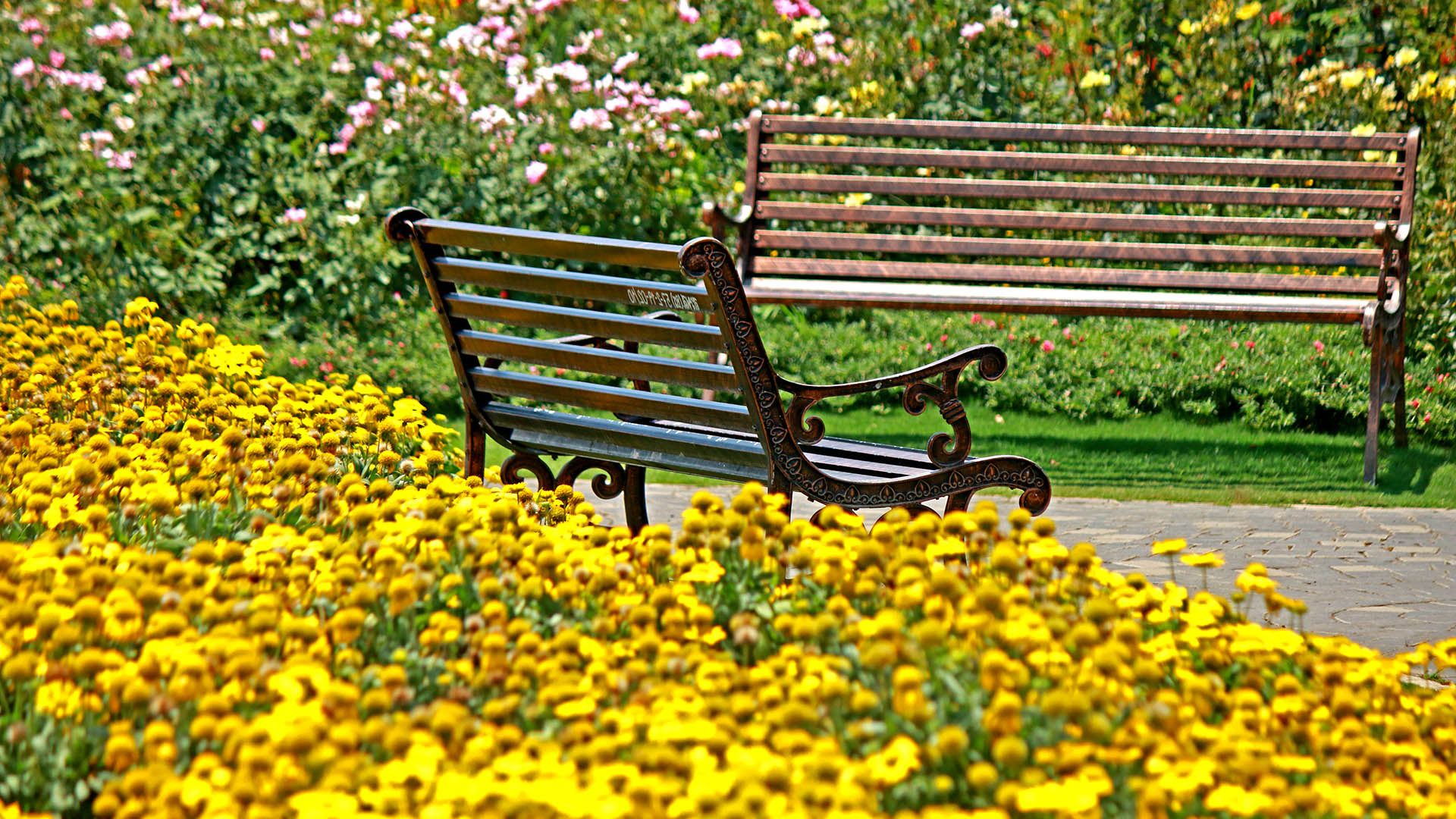 slide image